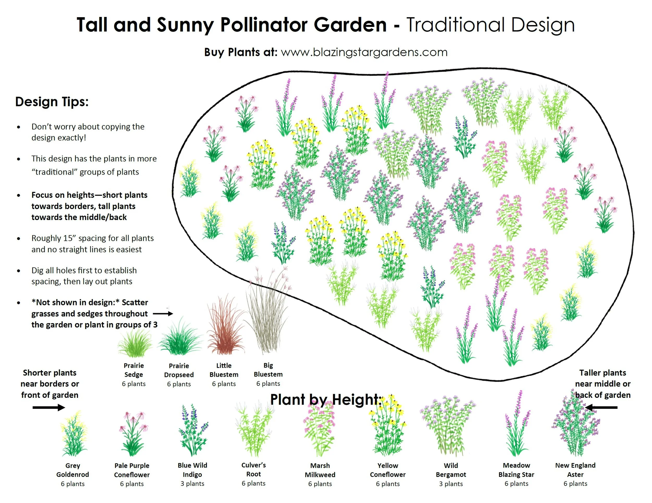 Tall and Sunny Pollinator Garden Kit - 72 plants — Blazing Star